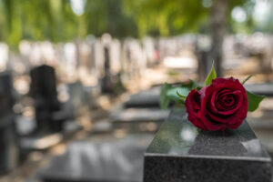 Red rose flower on a grave in a cemetery