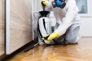 person performing pest control services