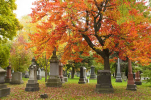 Grave stones and memorials under a red maple tree