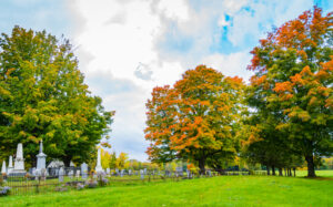 trees changing colors over cemetery